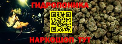гидра Камышлов