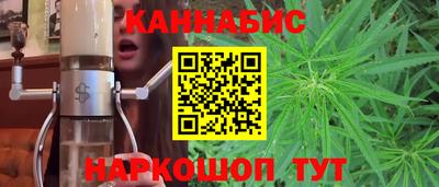 гидра Камышлов