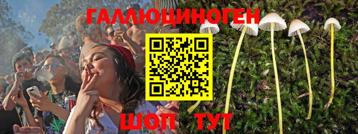 купить наркотик  Галлюциногенные грибы Magic Shrooms  Вход с VPN  Кулебаки  Псилоцибиновые грибы ЛСД 